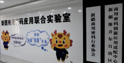 最快仅需20分钟，，，，，，，，“华西造”3D-HSP打印系统进驻新疆